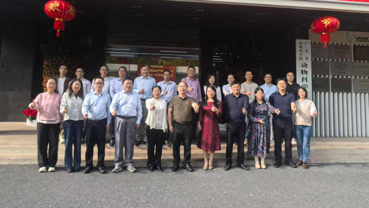 xc sports(中国区)-官方网站